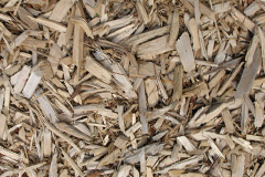 biomass boilers Trewollock